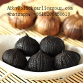 Bawang putih hitam tunggal dengan kadar air 30%