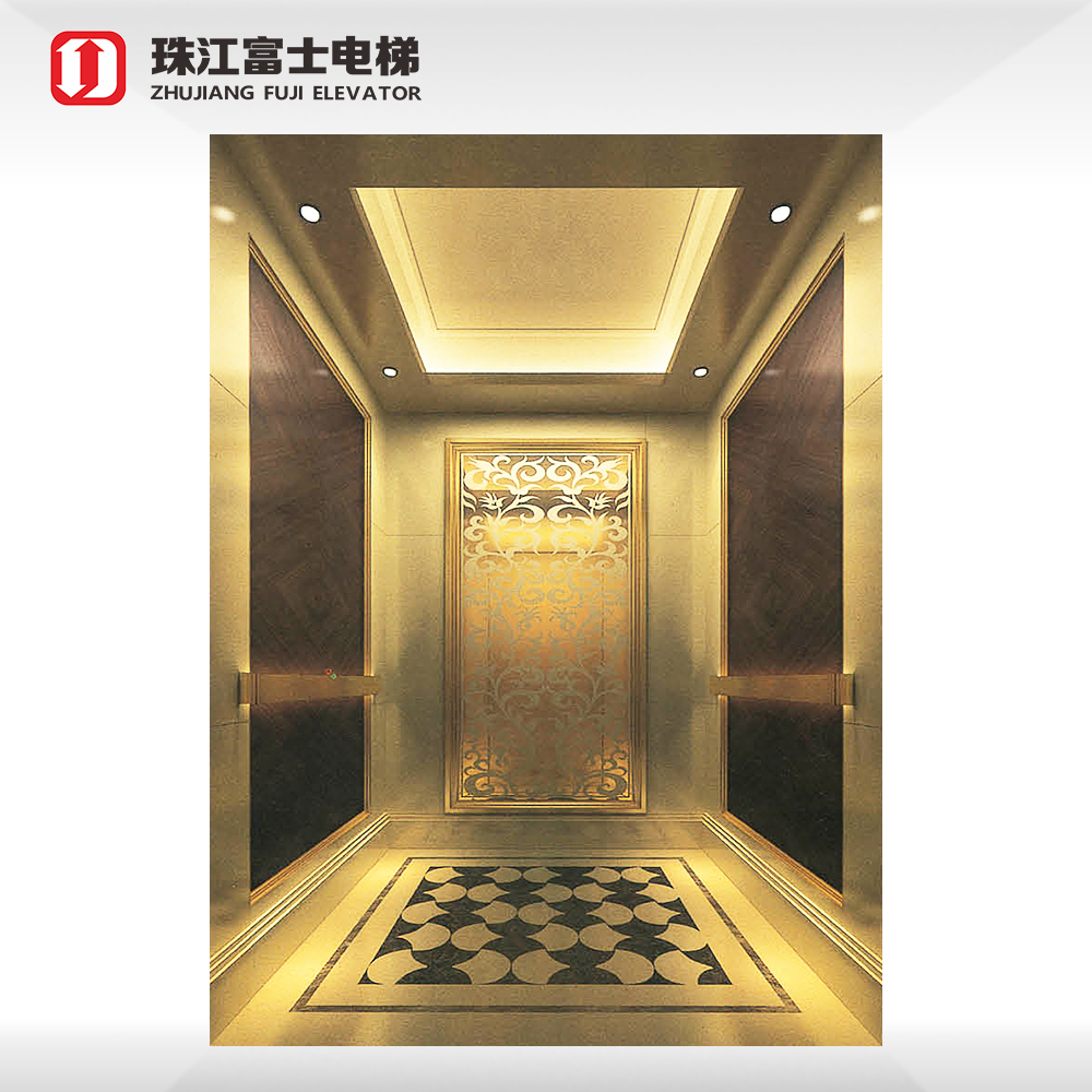 ZhuJiangFuji Energy Saving Home House Residential Lift Luxury Villa Elevator