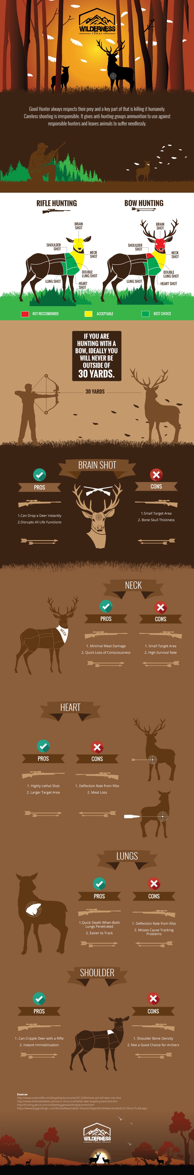 Where-to-Shoot-a-Deer-Kill-Zone-Infographic