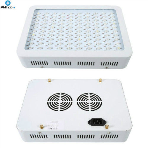 Wysoki Lumen Led Grow Light dla szklarni