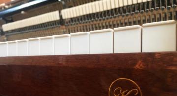 Novel vertical grand piano is selling best