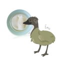 타조 오일 순수 호주 EMU 오일