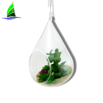 Glass Hanging Succulents Terrariums