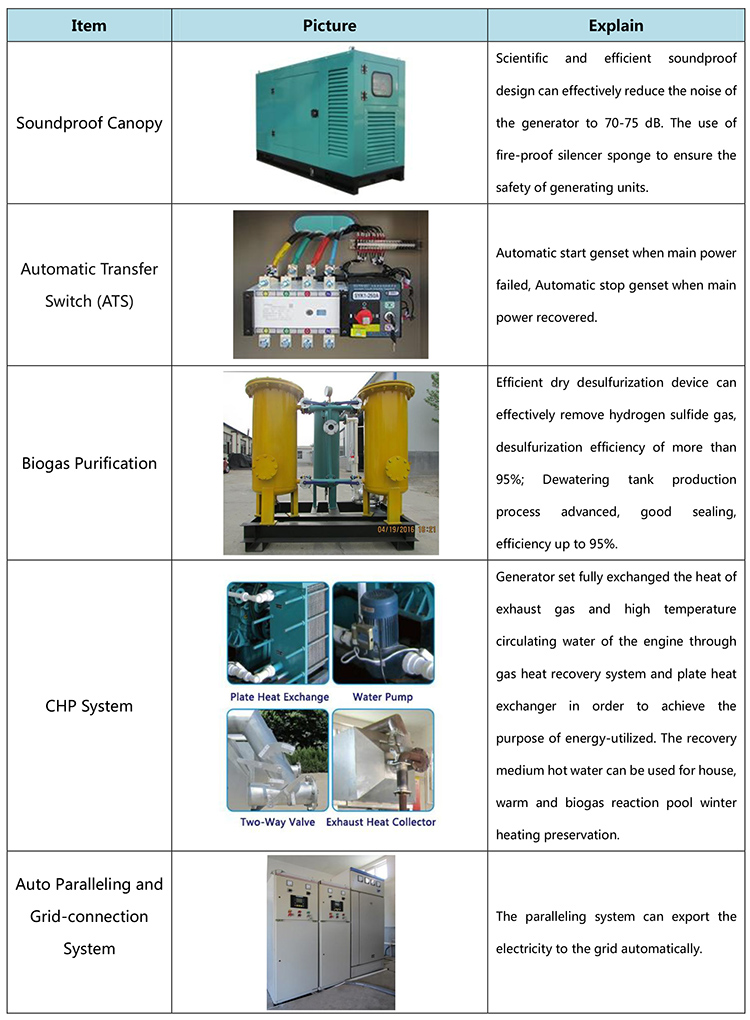 200kw 250kw biogas natural gas  generator prices