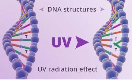 New Arrival UVC Chip 254nm 255nm Ultraviolet Light for Fluorescent Spectroscopy