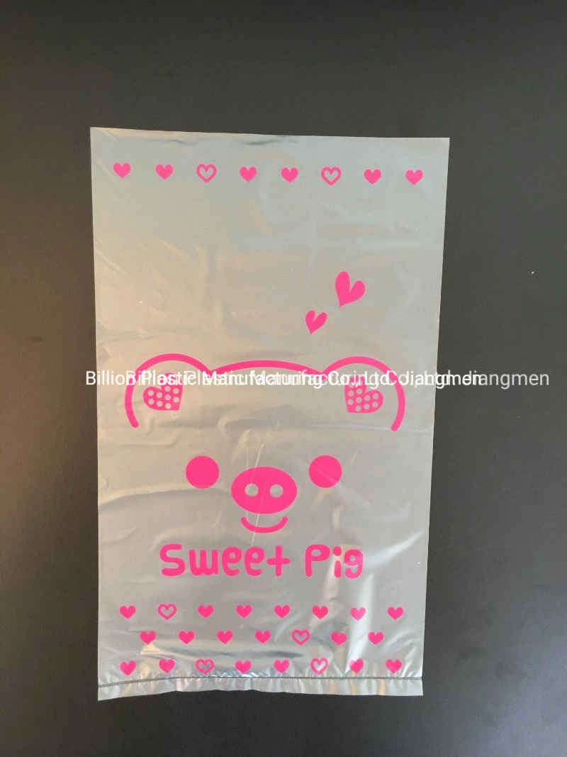 Customized Design Packing Flat Bag with Printing in Individual Color Box