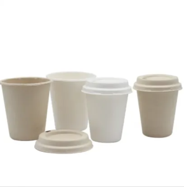 Disposable Biodegradable Sugarcane Bagasse Pulp Coffee Cups 8OZ 12OZ 16OZ with lid