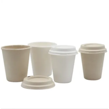 Disposable Biodegradable Sugarcane Bagasse Pulp Coffee Cups 8OZ 12OZ 16OZ with lid