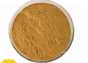 Chinese Herbal Dandelion Root Extract Powder