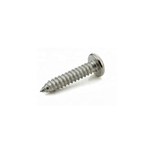 สแตนเลสสตีล / สแตนเลสสตีล Slotted Pan Head Tapping Screws