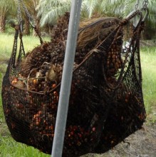 Black Farm Heavy Duty Nylon Cargo Net