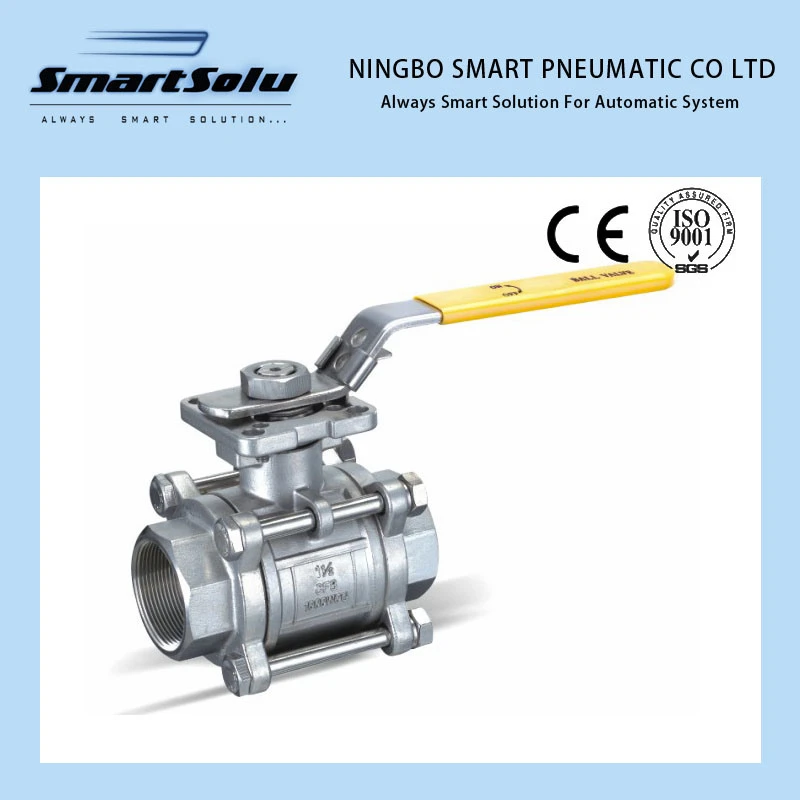 Screw End PTFE Stainless Steel Ball Valve (GB standard)