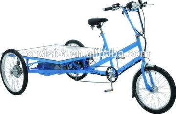 Electric Flatbed Trike