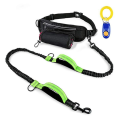 Bungee Hands Free Dog Leash