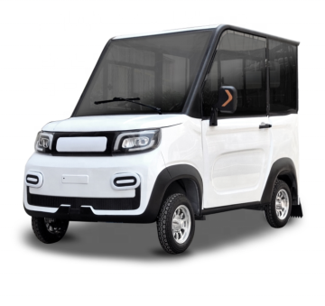 Electric Mobility Solutions for Disabled Users: Scooters and Mini Cars