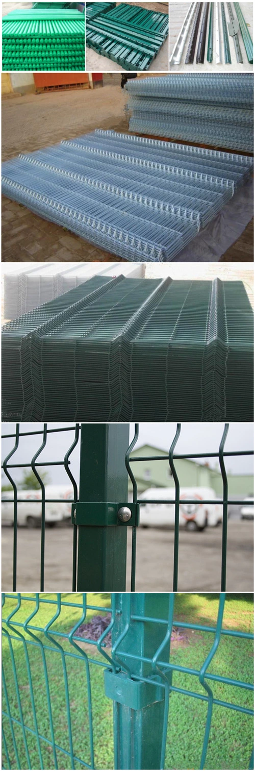 Πράσινο PVC επικαλυμμένο συγκολλημένο σύρμα πλέγμα φράχτη Κίνα Χονδρική