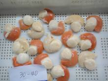 IQF Sea Scallop, Roe on