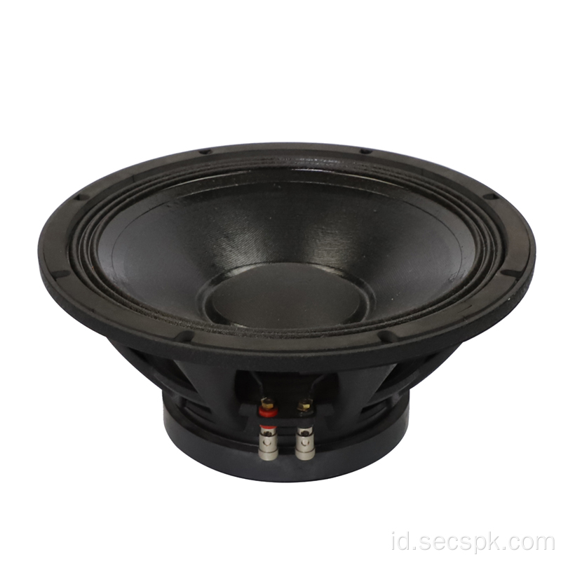 Party / Opera / Stage of 12inch Speaker