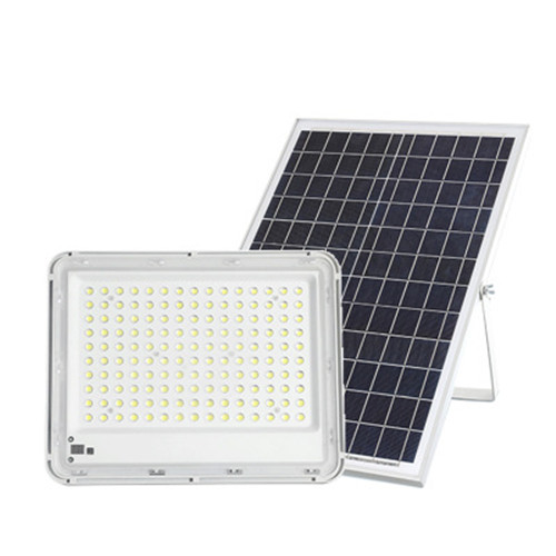 100w Decorative Outdoor Flood Light