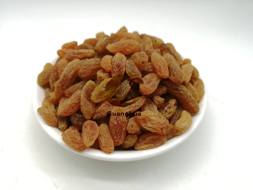 Pure Natural Color Raisin Cheap Price for Export