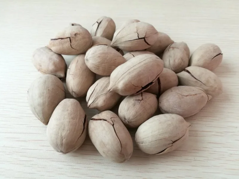 Hot Sale Bleached/Non-Bleached Pecan Nuts Small Walnut