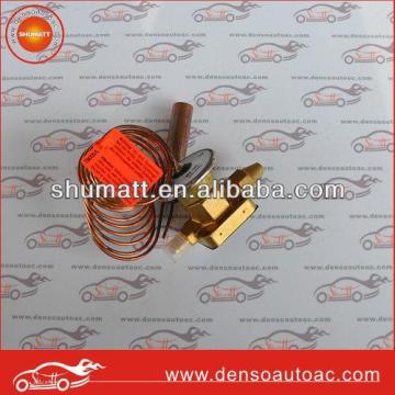 auto a/c parts Thermal Expansion valve