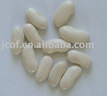 2015 new crop long white kidney bean(712)