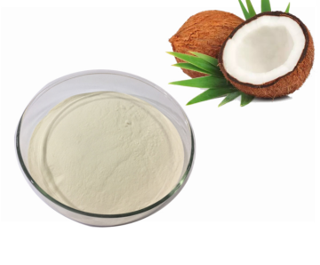 Organic Coconut Milk Powder Bulk