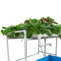 Garden Grow Kit Tavolo Indoor Grow sistema idroponico