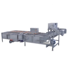 Automatic Aloe Vera Processing and Cleaning Machine