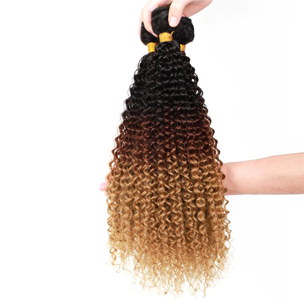 MYZYR Ombre Kinky Curly Hair Bundles Synthetic Hair Weaves 14