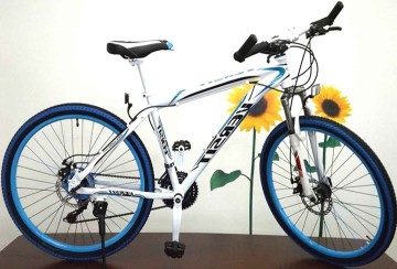 Mountain Bicycle/24speed Mountain Bike