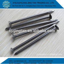 Polished Round Common Wire Nail
