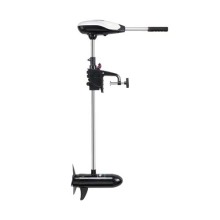 Freshwater transom mount trolling motor