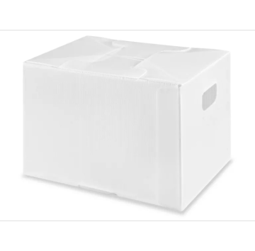 Durable Corrugated Plastic Boxes for Packaging Solutions