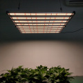 Luz de cultivo LED plegable de 640W para jardín interior