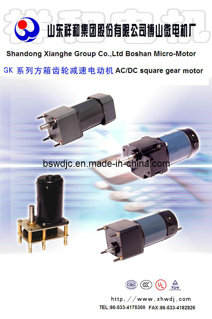 DC Brushed Motor Micro Planetary Gear Reducer/Decelerator/Brake Motor