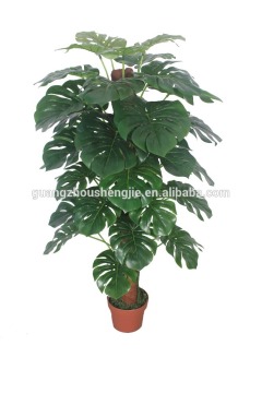 CHY020818 Artifiical evergreen ornamental plant