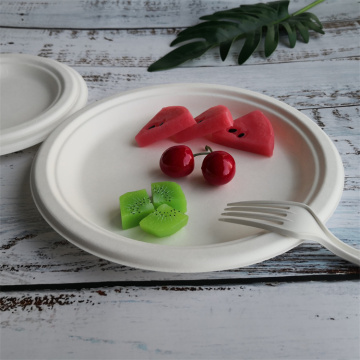 Biodegradable Bagasse Paper Pulp Restaurant Plates