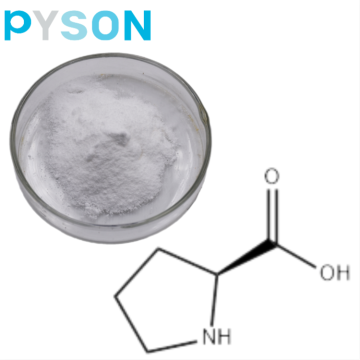 L Prolina en polvo USP Estándar