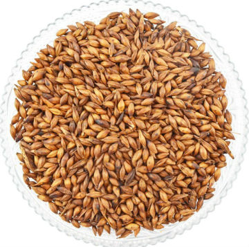 Hot Sale Ptisan/Barley Tea Health Tea