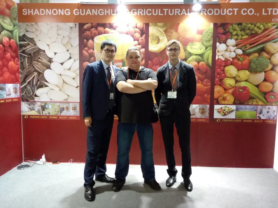 Export Standard Wholesale Gojiberry From Ningxia