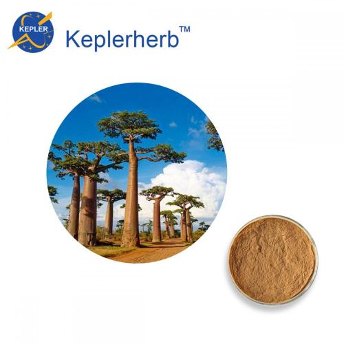 Adansonia digitata Extract powder