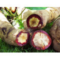 Sexuelle Enhancer Butea Superba Extraktpulver 20% Flavon
