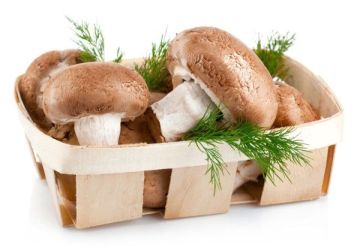 Fresh shiitake mushroom & shiitake mushroom cultivation