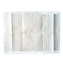 Underpads with PE Sheet