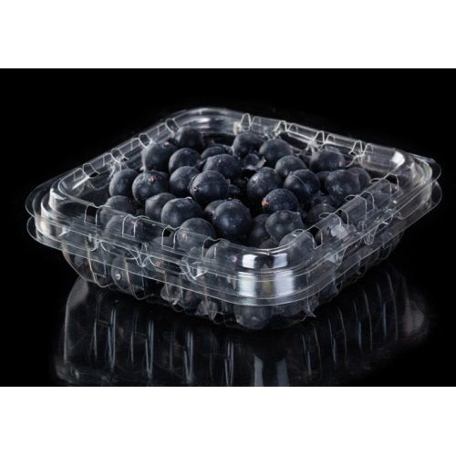 Jednorazowe plastikowe pudełko do pakowania Blueberry