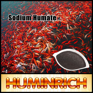 Huminrich Promote Growth Sodium Humate As Feed Additive Humic Acid For Fish