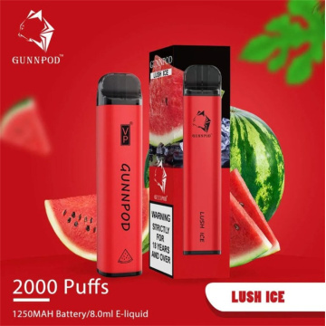 Gunnpod 2000 Puffs en gros stylo jetable vape