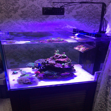 Dissipazione del calore del vento del vento a 360 gradi a LED Aquarium